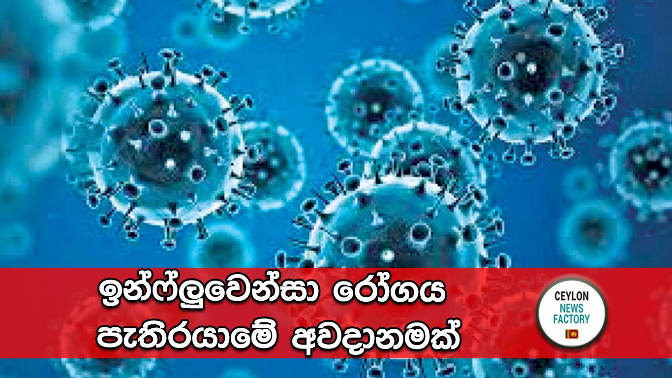 Influenza