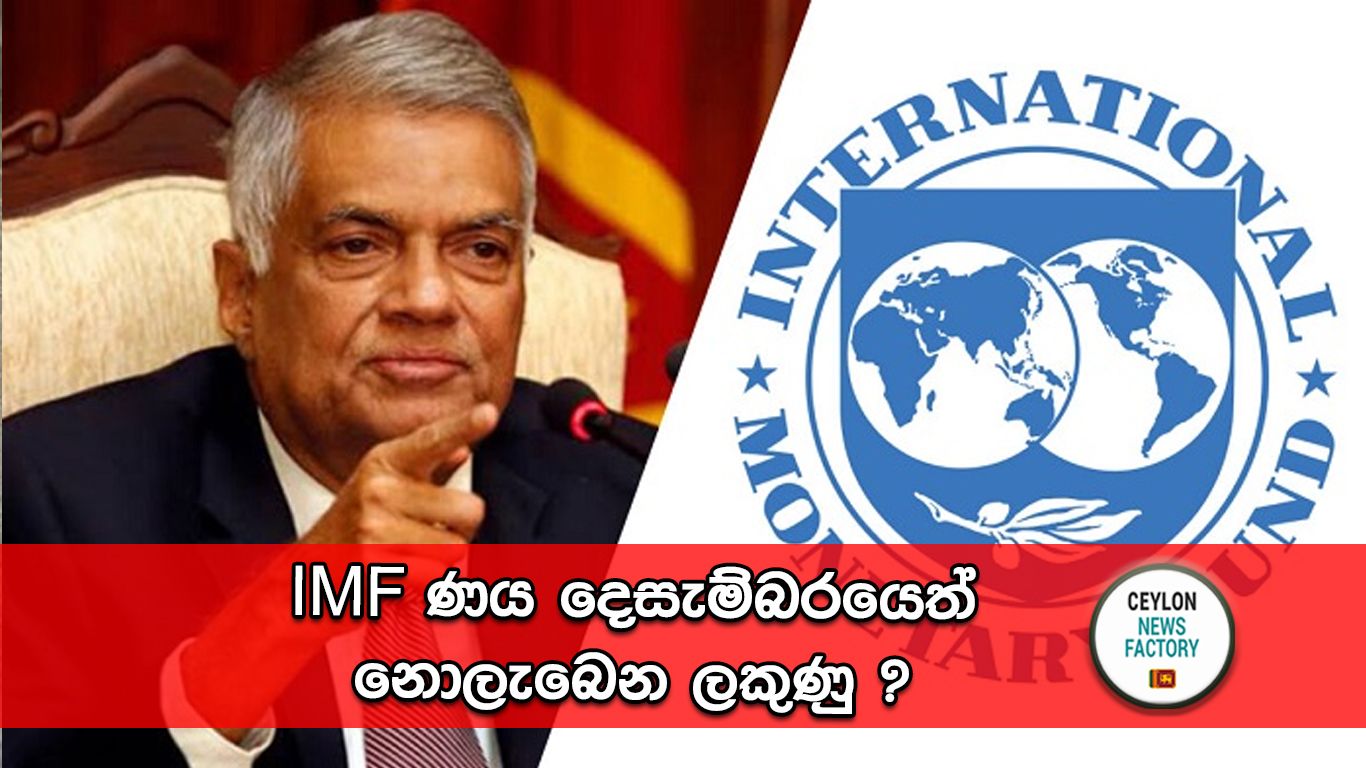 IMF