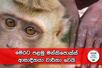 මන්කිපොක්ස්