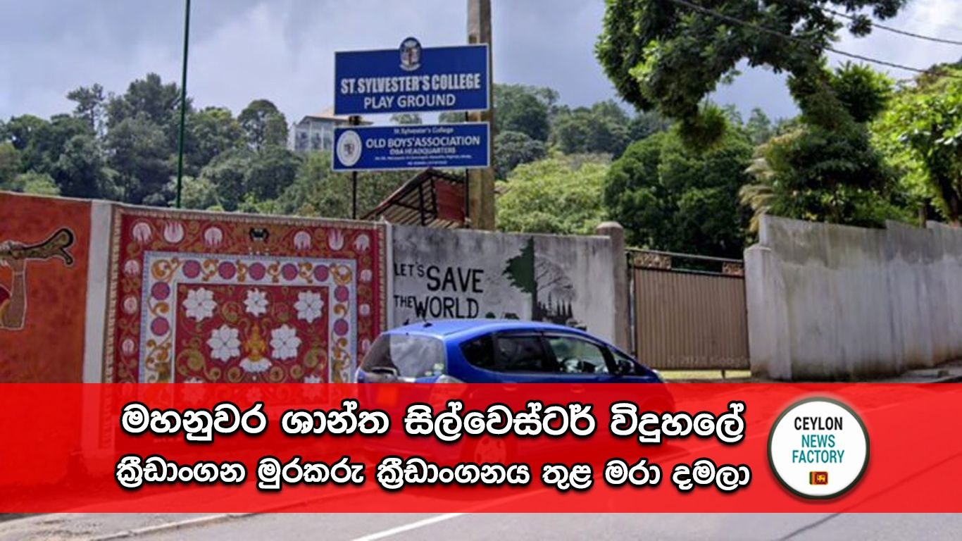 මහනුවර ශාන්ත සිල්වෙස්ටර් විදුහලේ ක්‍රීඩාංගන මුරකරු