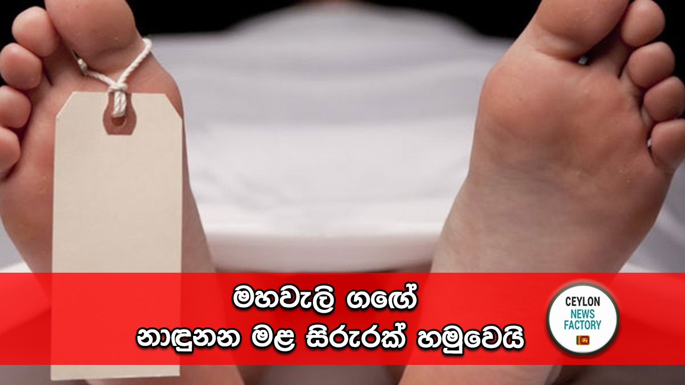 නාඳුනන මළ සිරුරක්