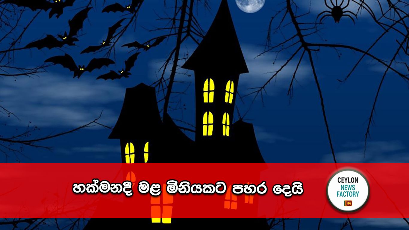 මළ මිනියක