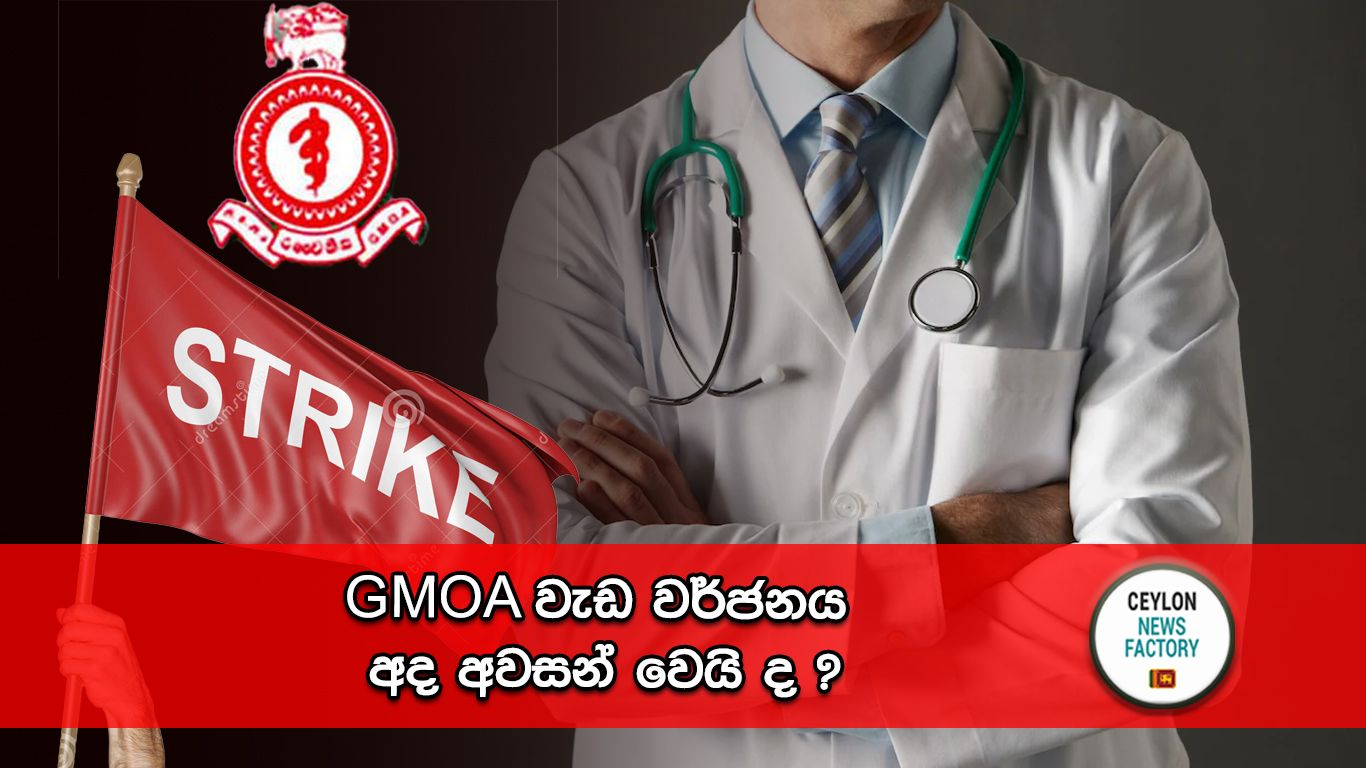 GMOA