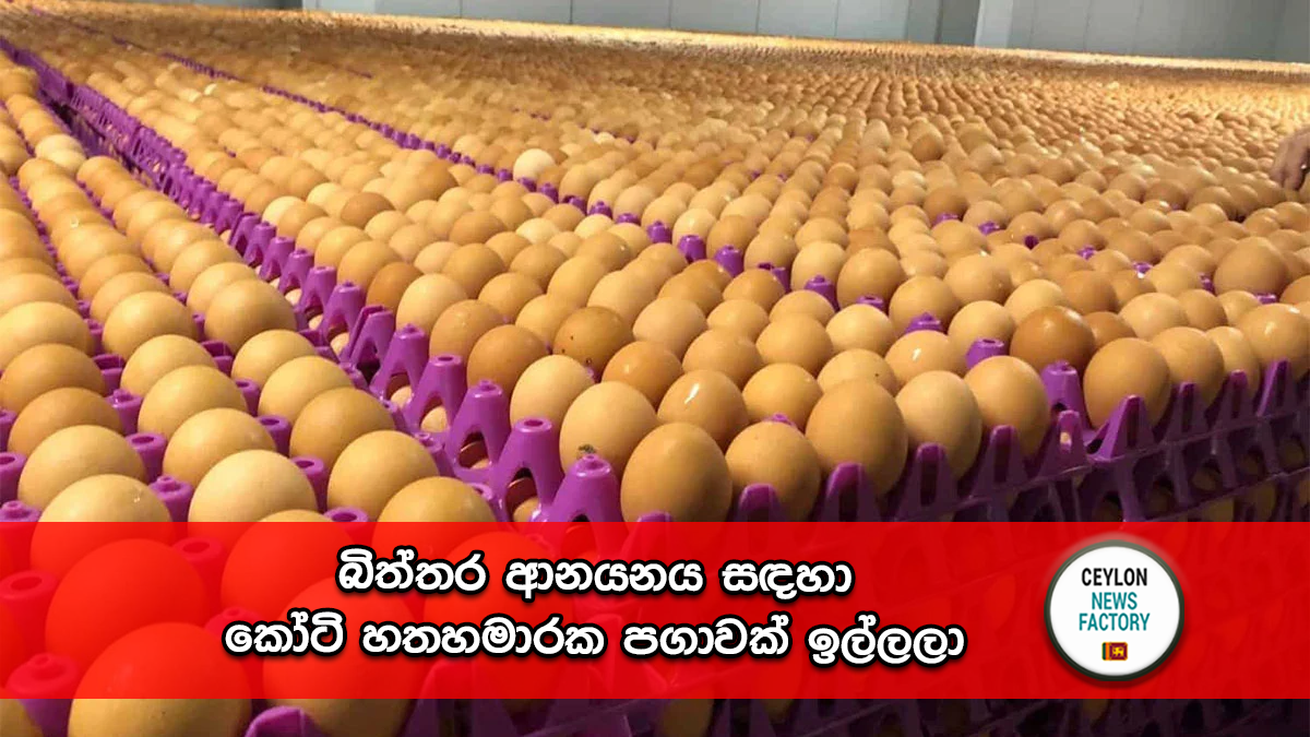 බිත්තර ආනයනය