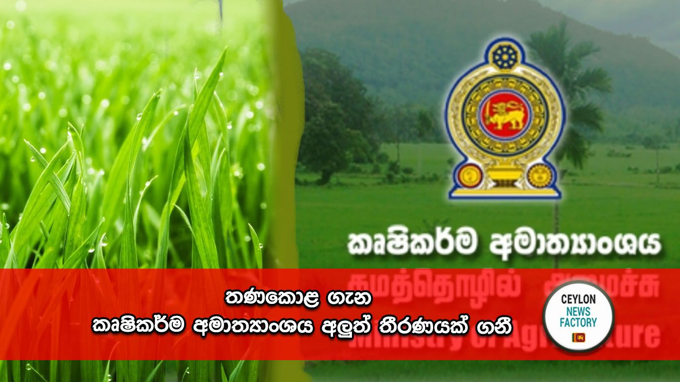 තණකොළ