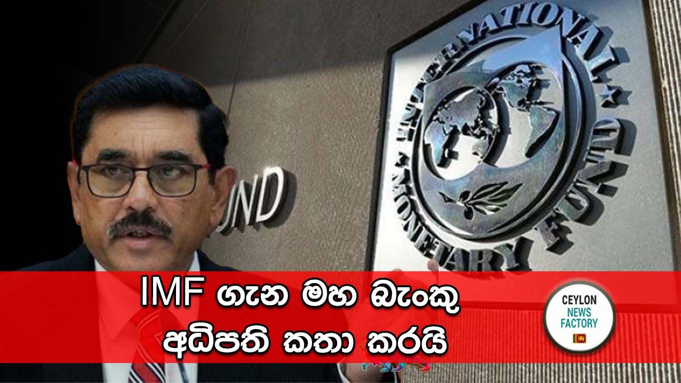 IMF