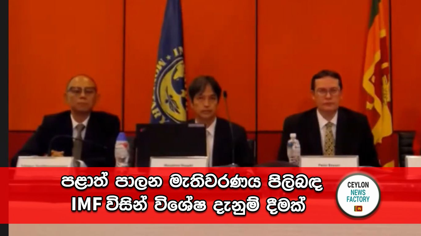 IMF