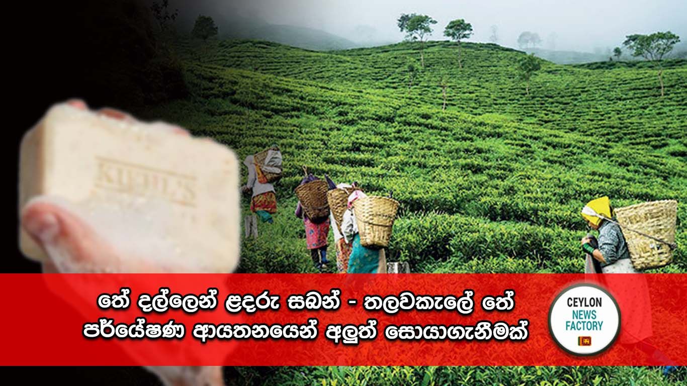 තලවකැලේ තේ පර්යේෂණ ආයතනය