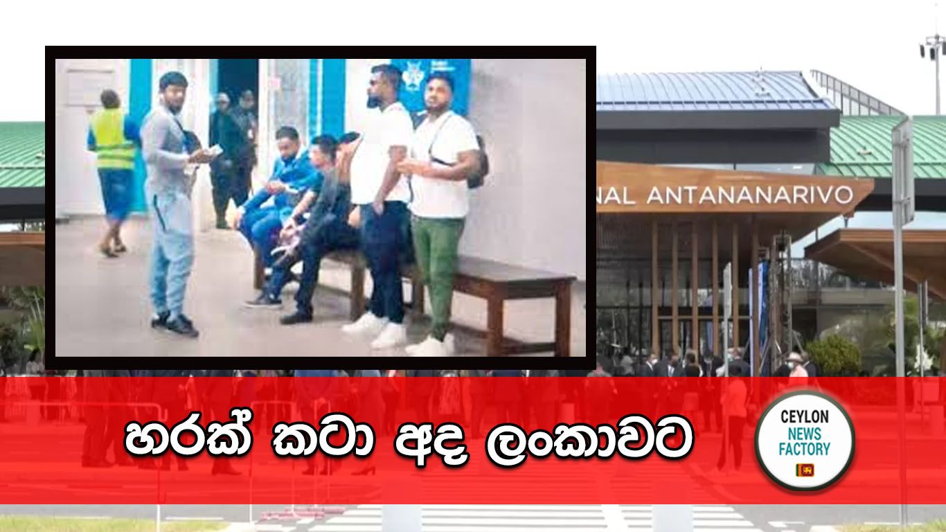 හරක් කටා