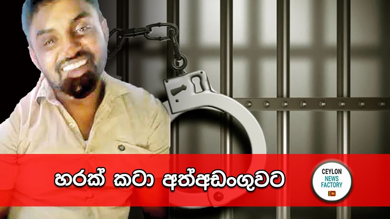 හරක් කටා