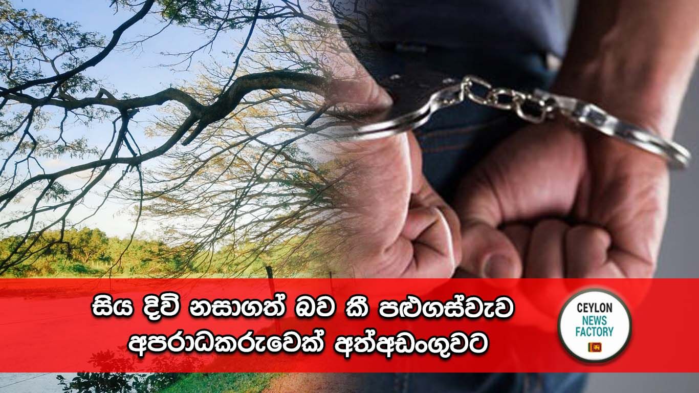 පළුගස්වැව