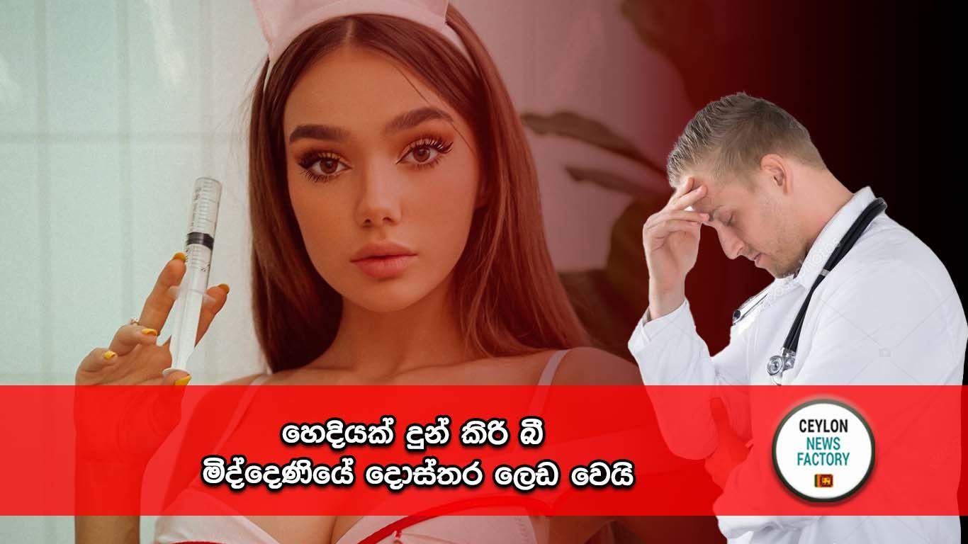 මිද්දෙණිය