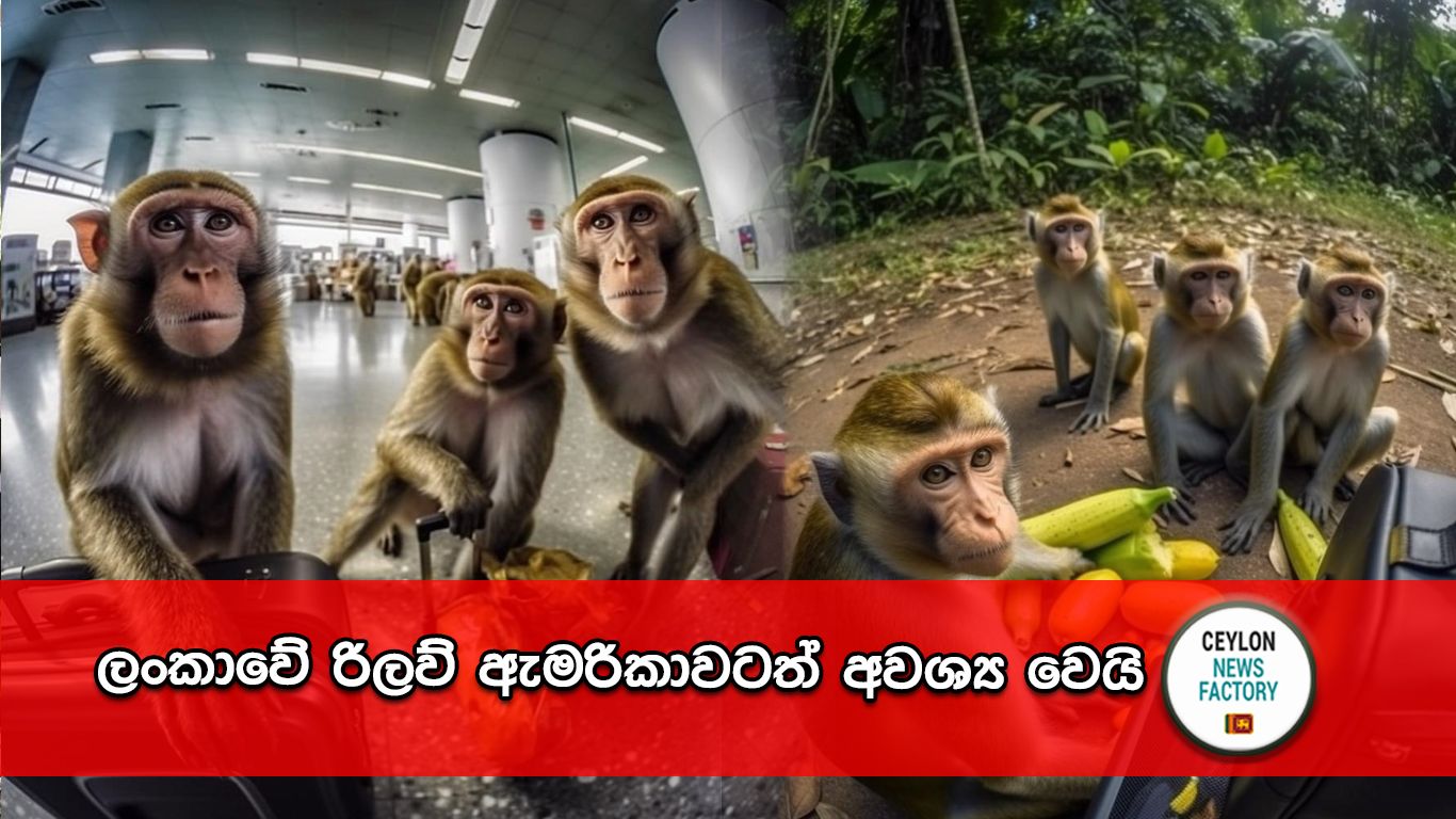 ‍රිලව්