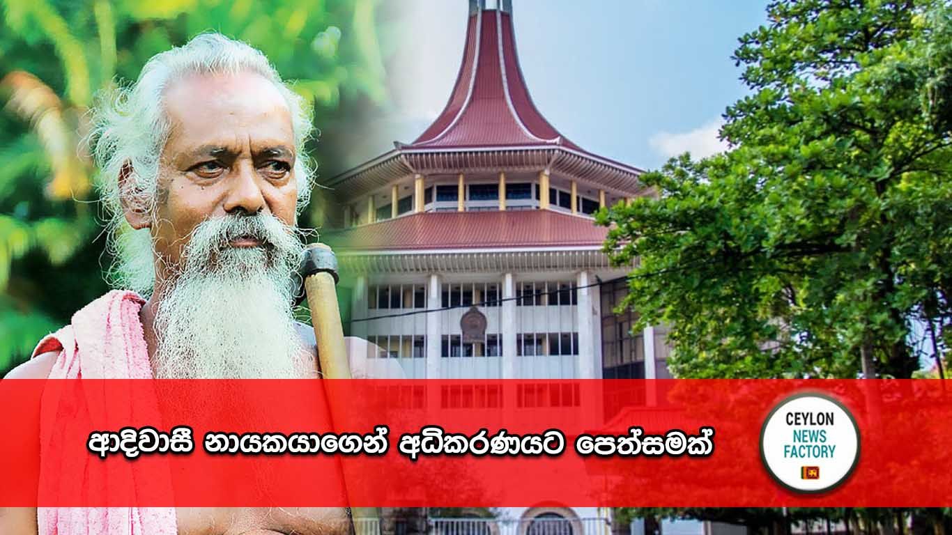 ආදිවාසී නායකයා