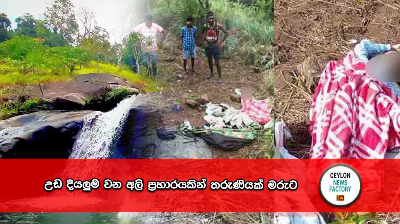 උඩ දියලුම