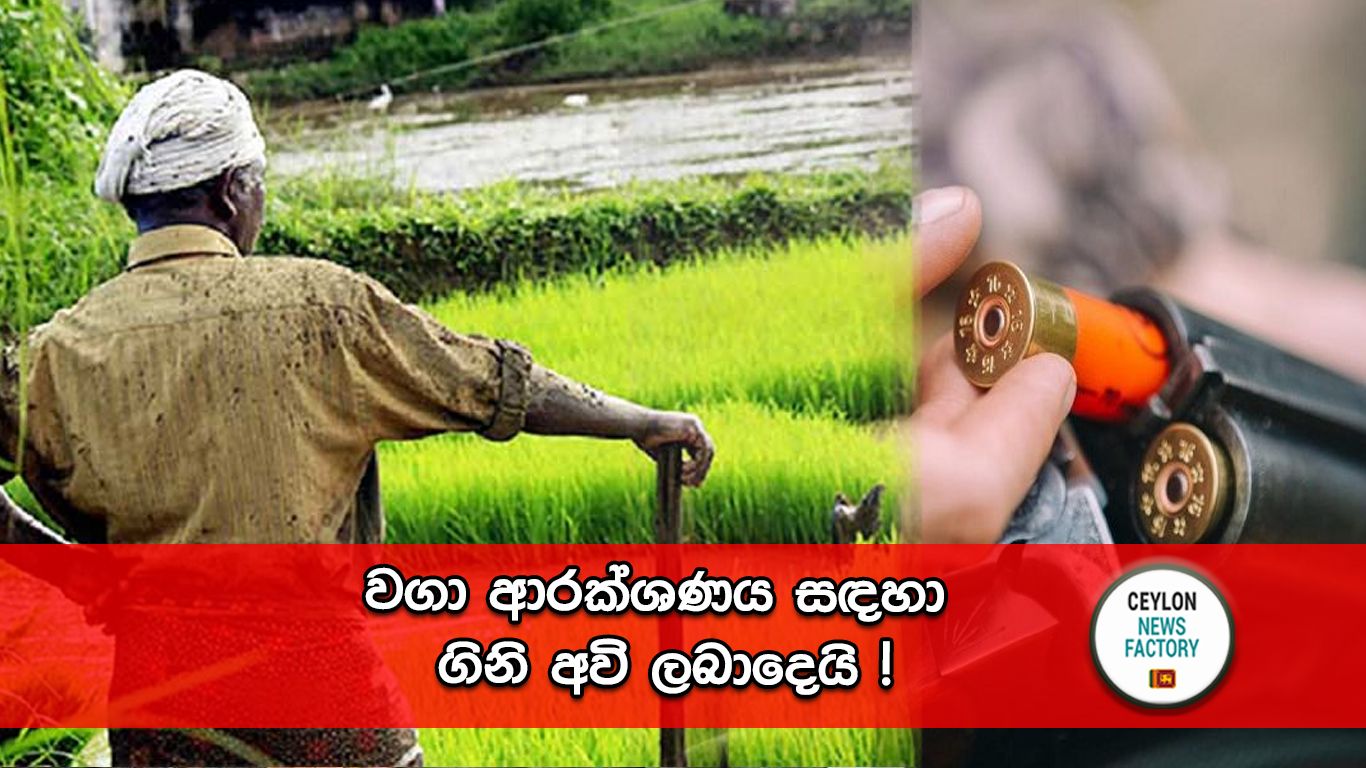 වගා ආරක්ෂණය