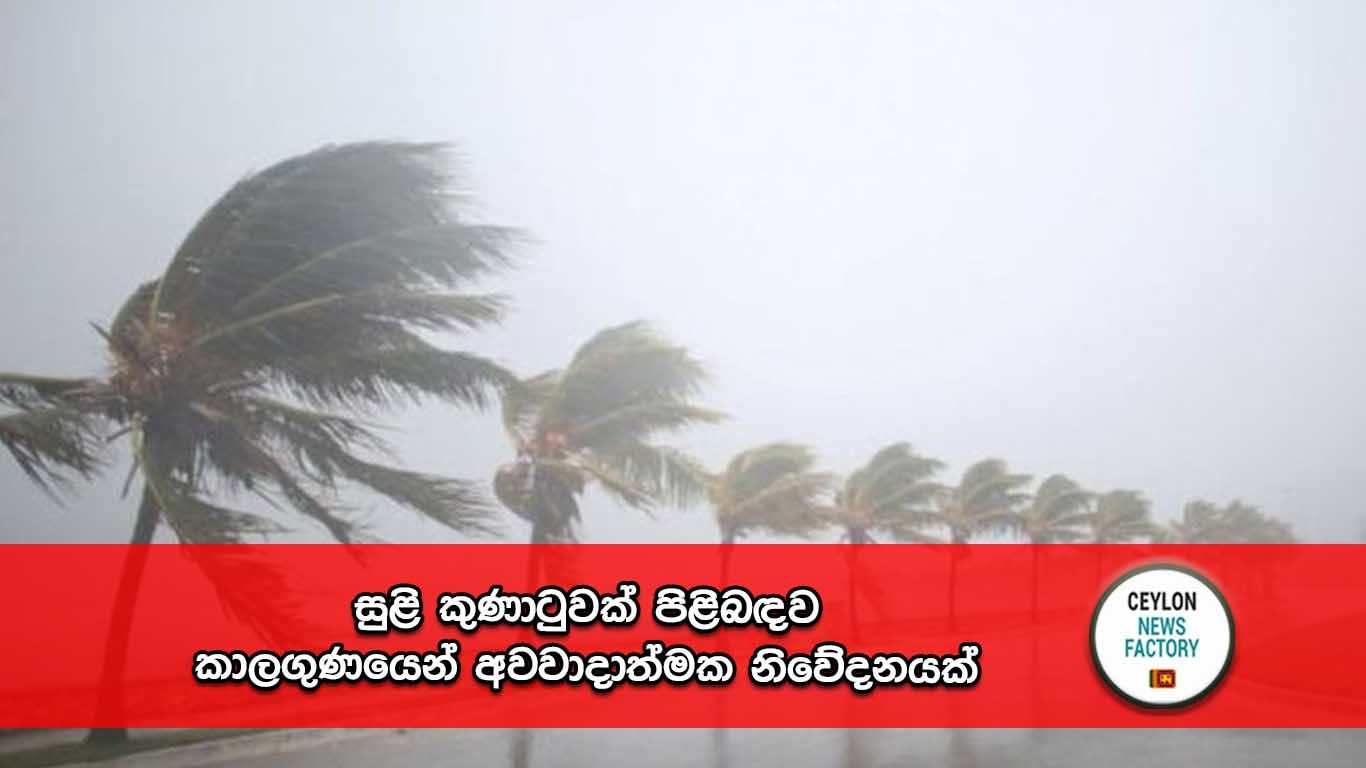 සුළි කුණාටුව