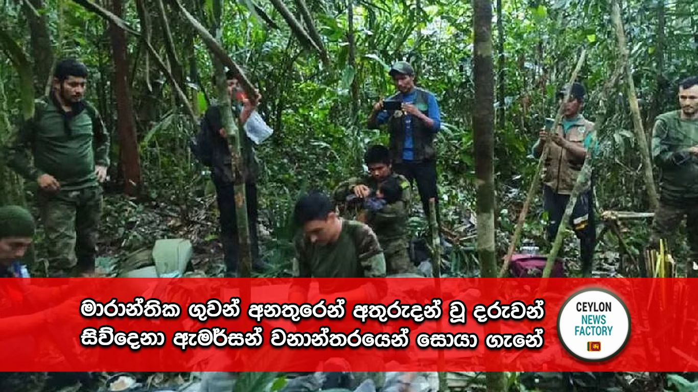 ඇමර්සන් වනාන්තරය