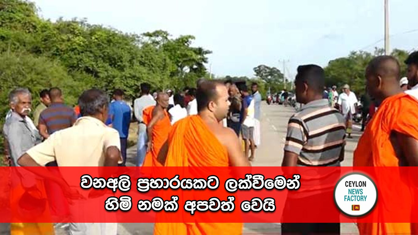 වනඅලි ප්‍රහාරය