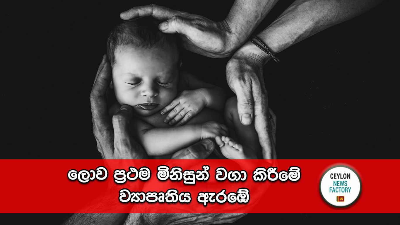 මිනිසුන් වගා කිරීමේ ව්‍යාපෘතිය