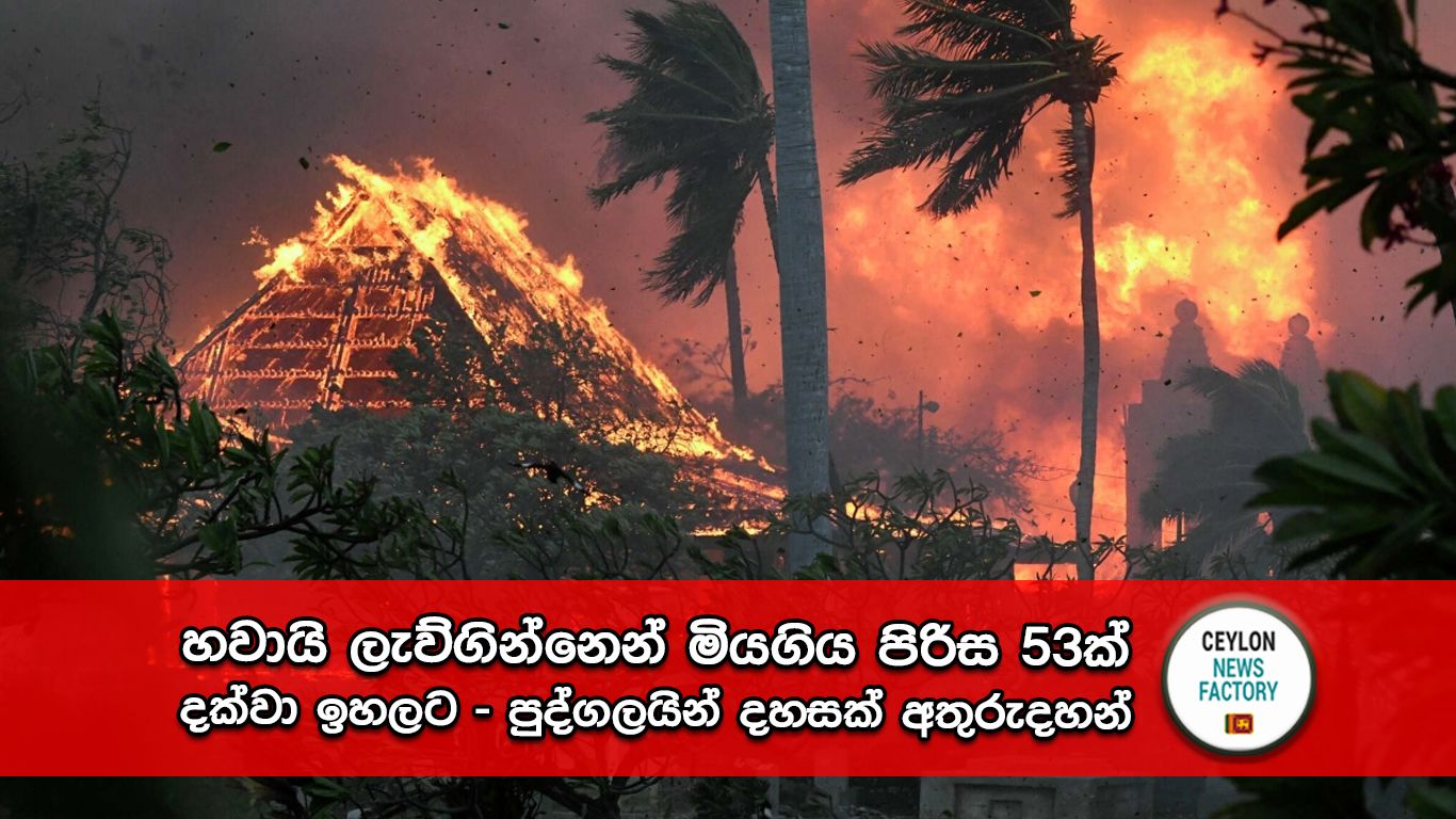 හවායි