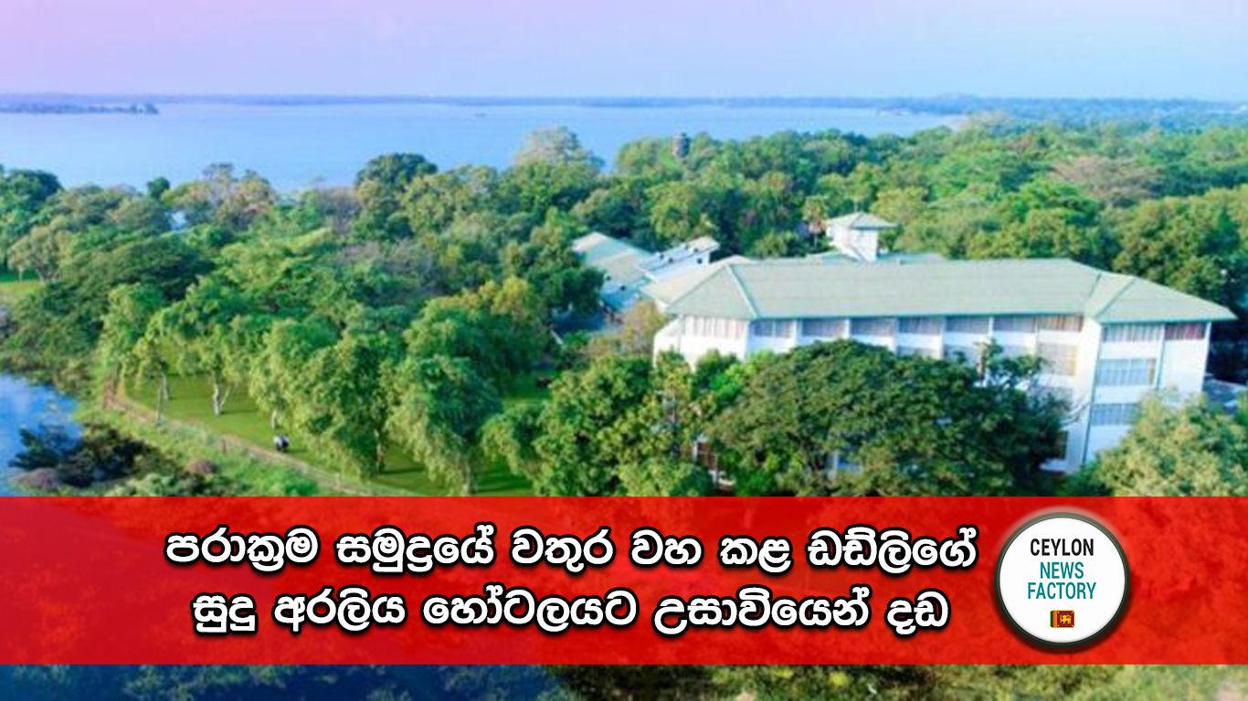 සුදු අරලිය හෝටලය පරාක්‍රම සමුද්‍රය