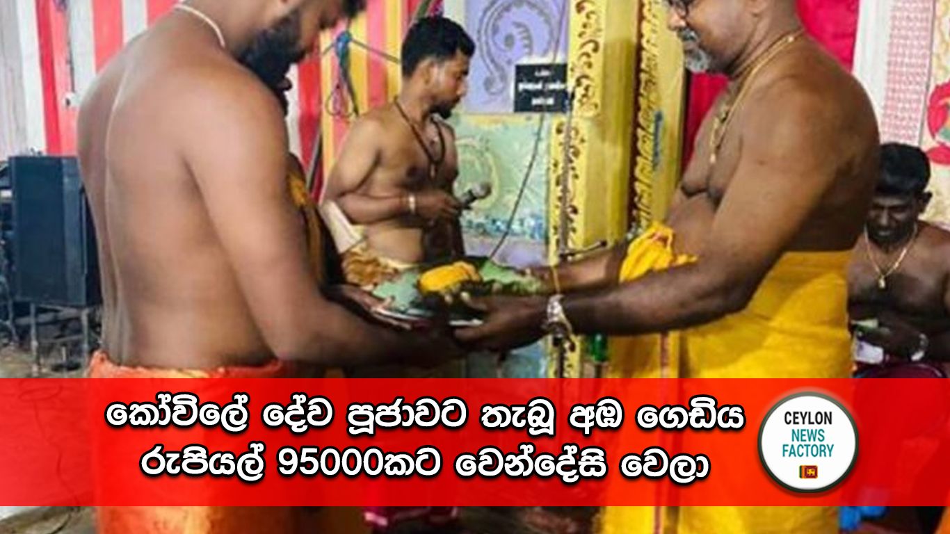 ශ්‍රී විනයාගර් කෝවිලේ පැවති විශේෂ පූජාවකින් පසුව දෙවියන් උදෙසා පූජා කළ අඹ ගෙඩිය
