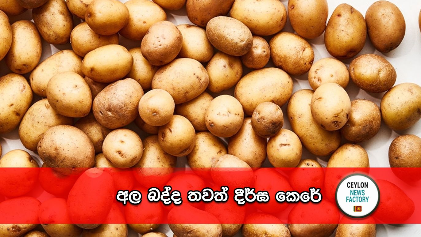 Potato Tax