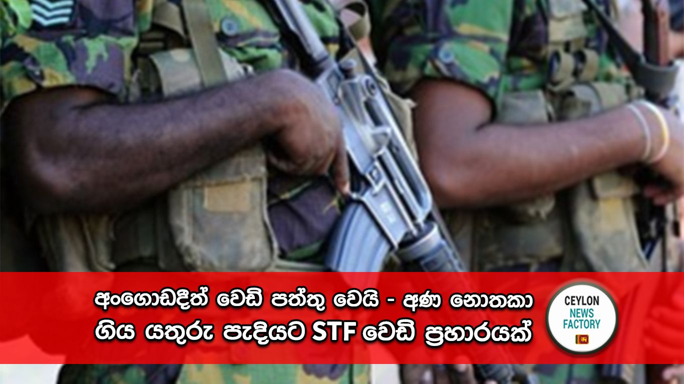 අංගොඩ