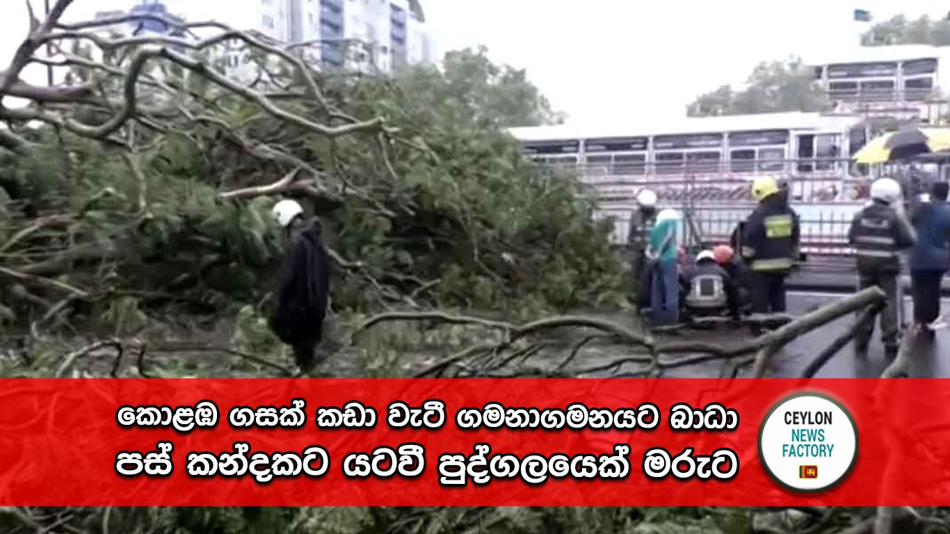 කාලගුණය