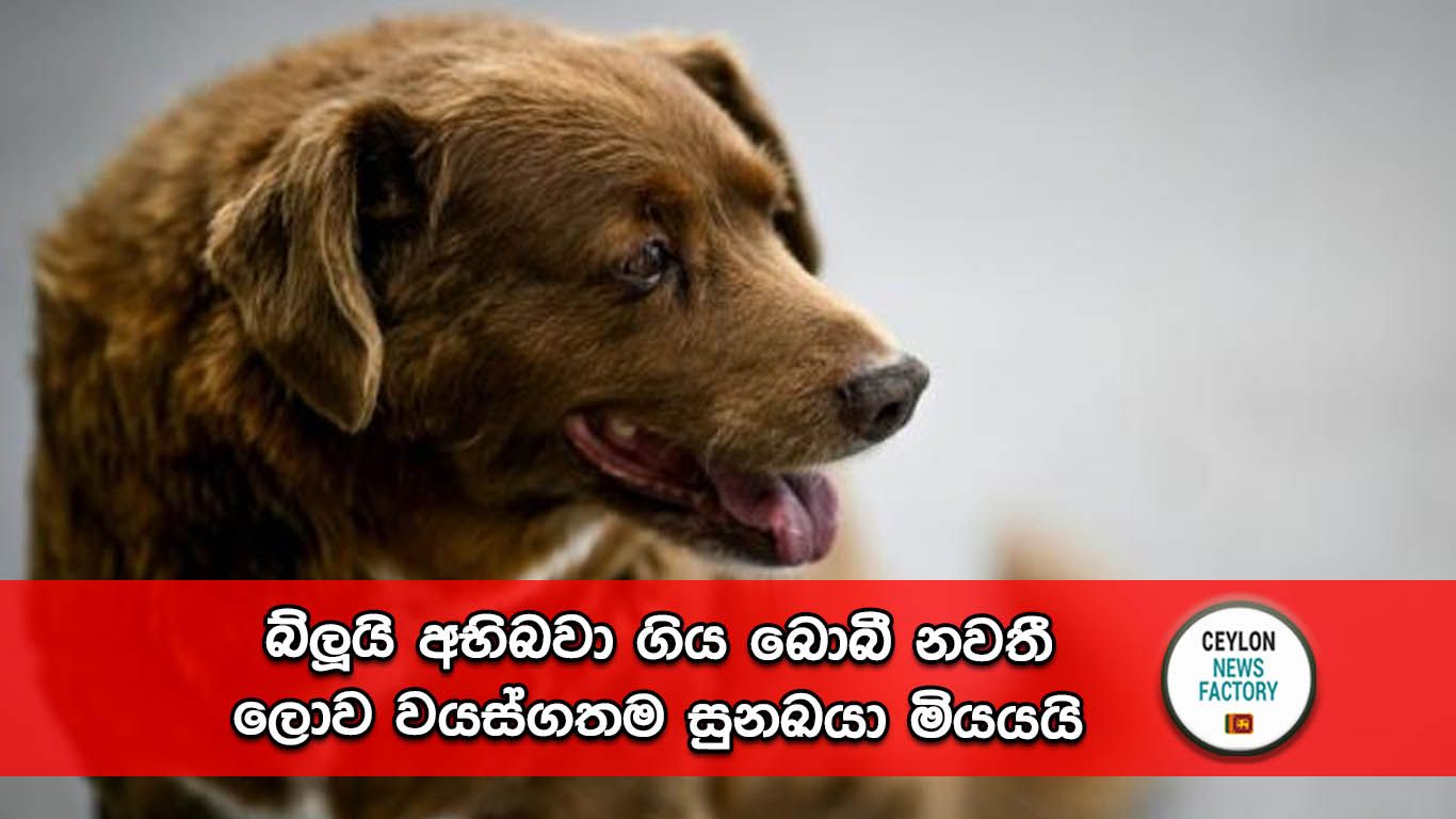 බොබී