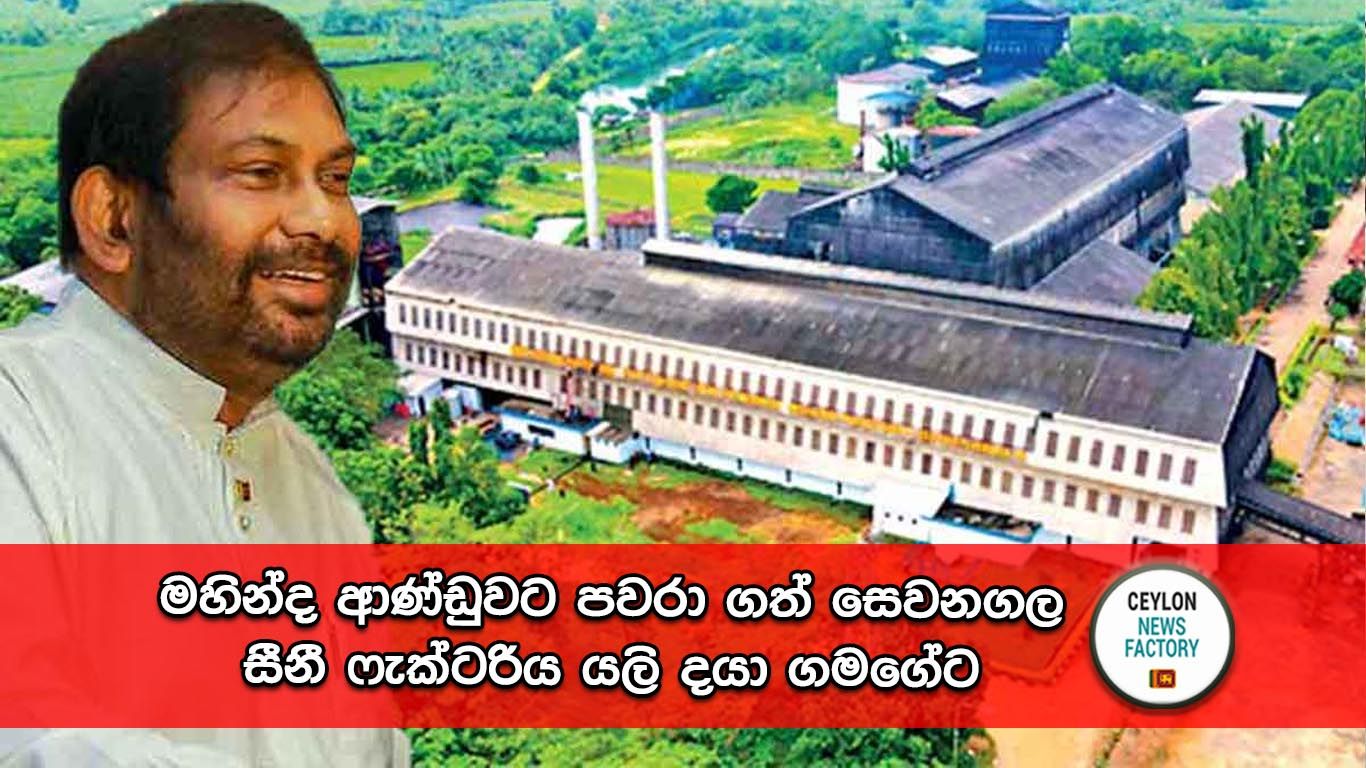 දයා ගමගේ