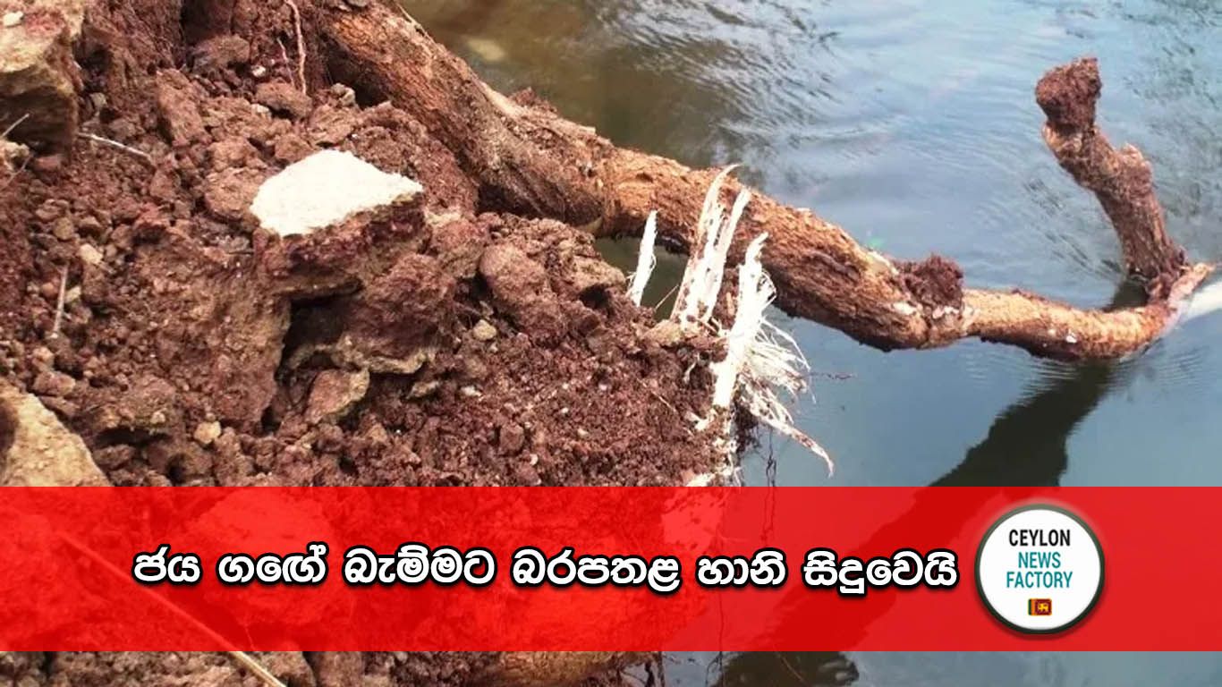 ජය ගඟේ බැම්ම