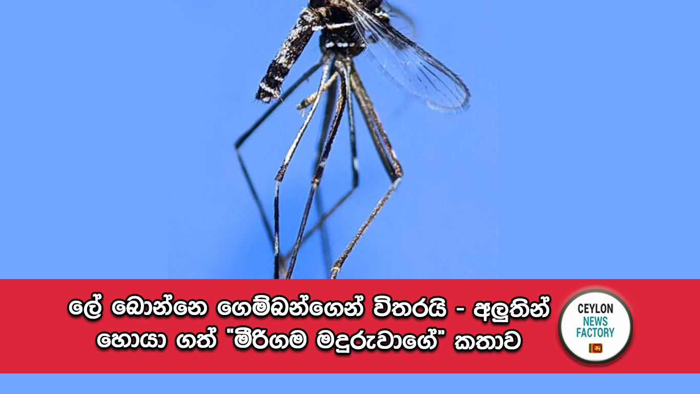 මීරිගම මදුරුවා