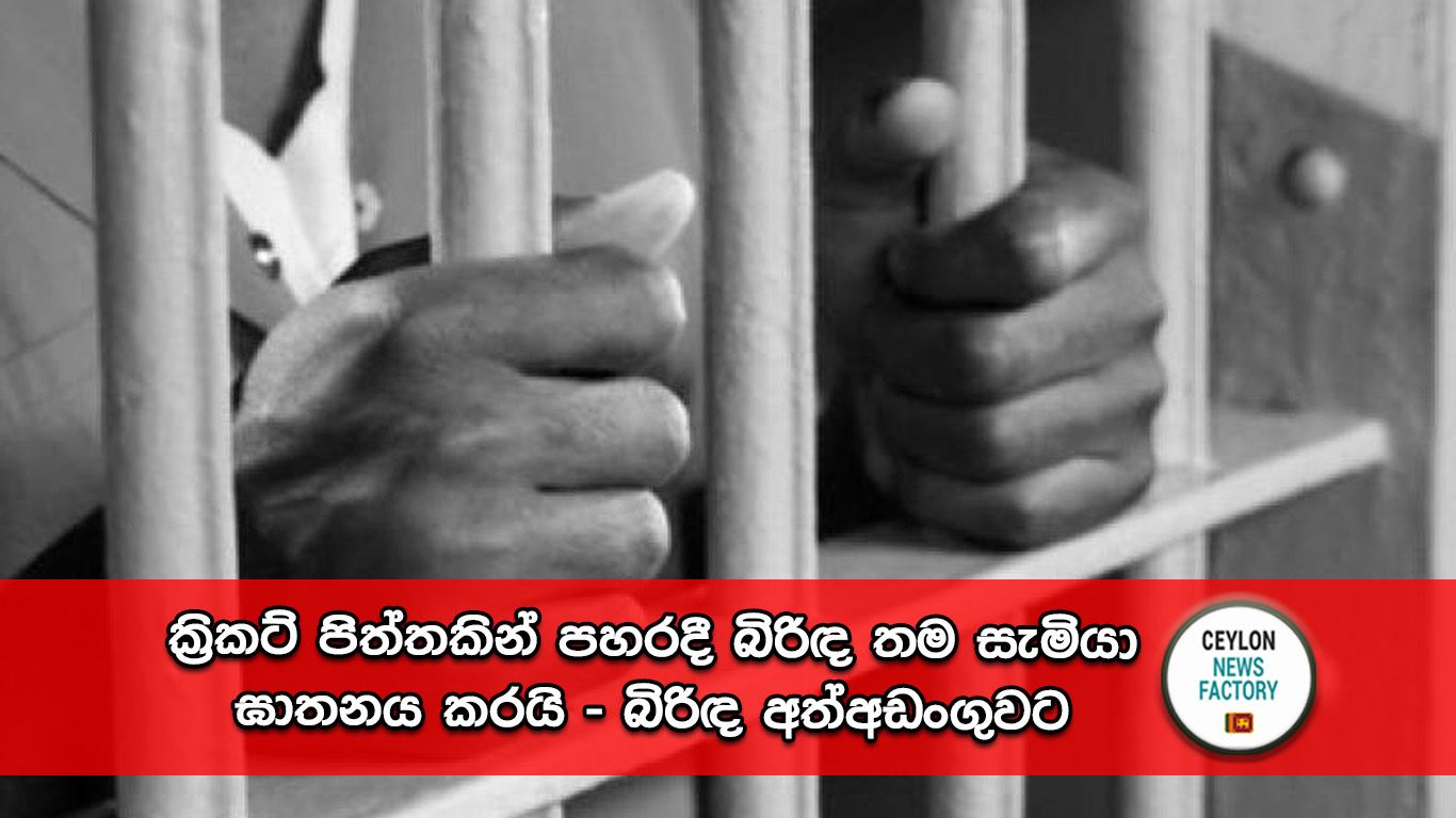 ක්‍රිකට් පිත්ත