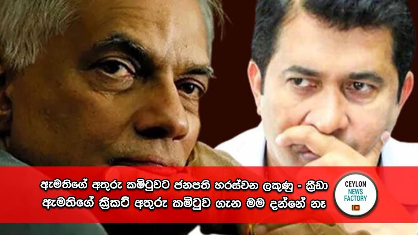 ක්‍රිකට් අතුරු කමිටුව