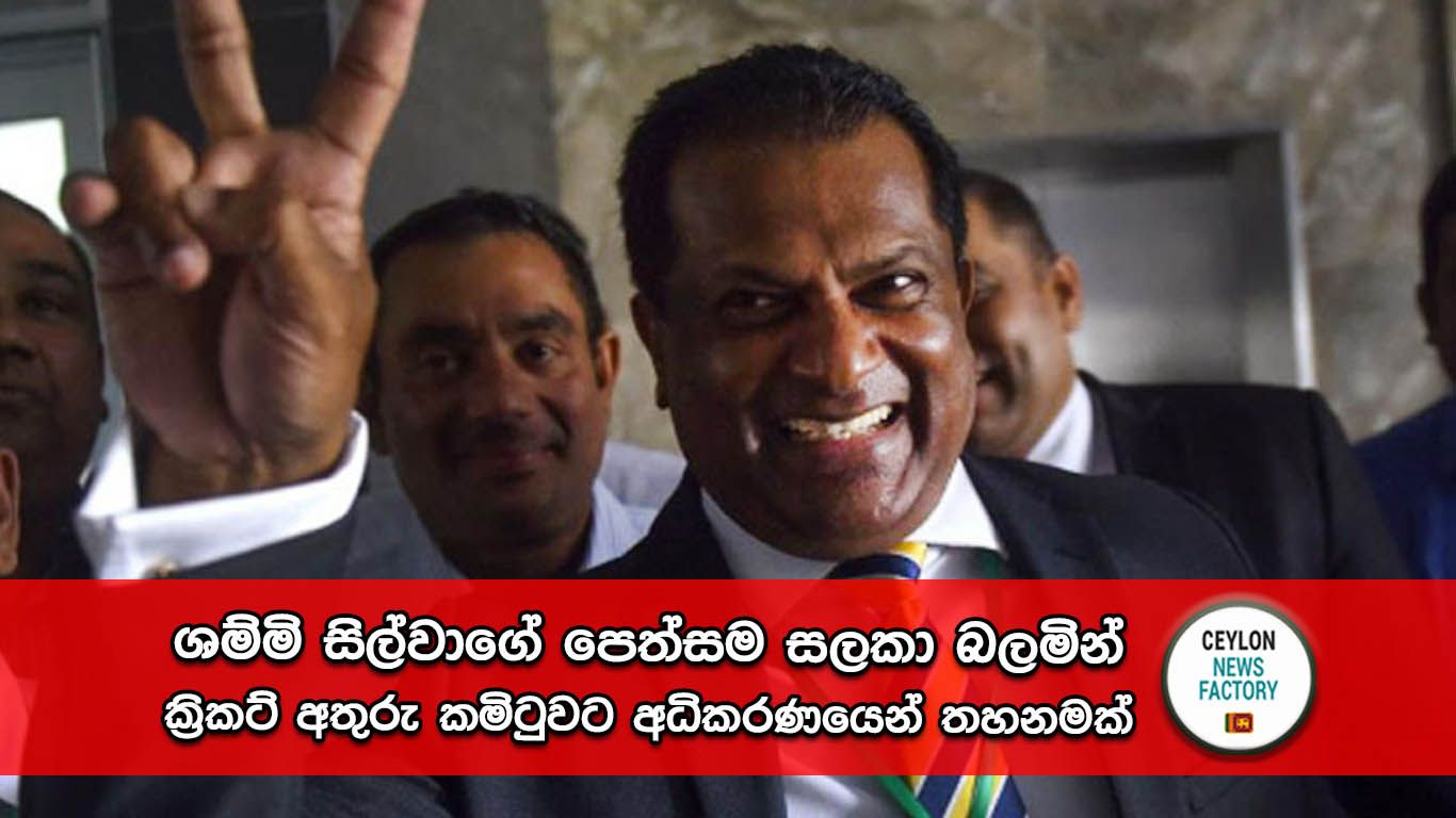 ක්‍රිකට් අතුරු කමිටුව