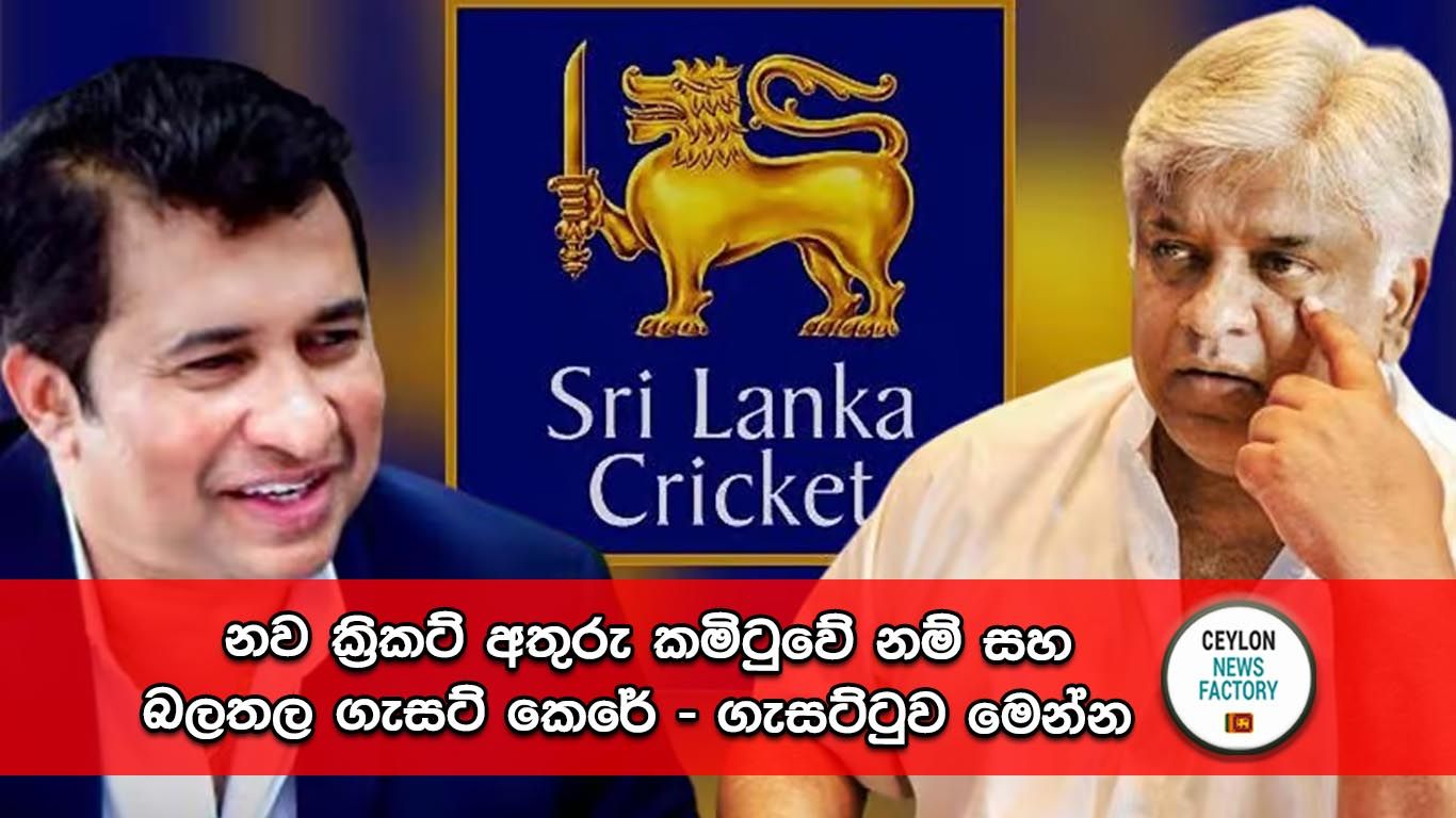 ක්‍රිකට් අතුරු කමිටුව