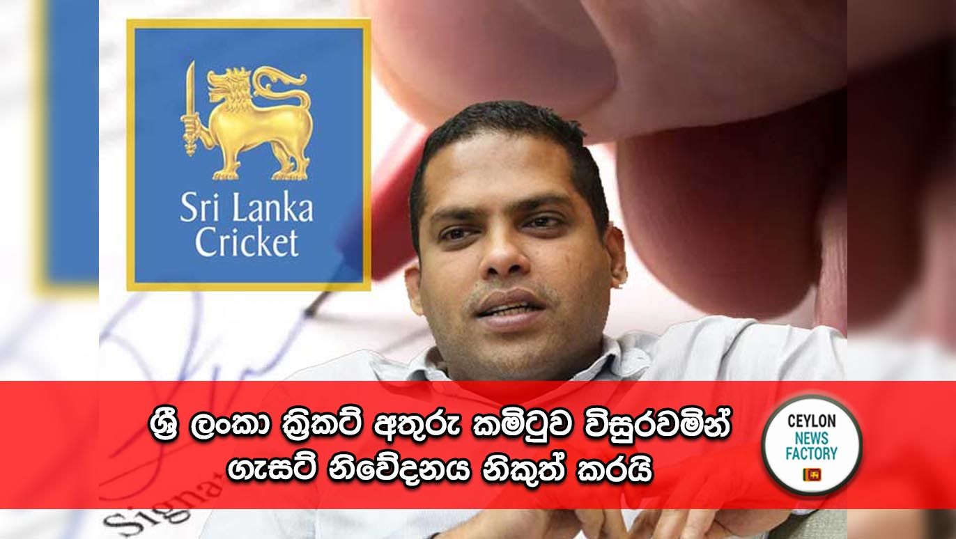 Cricket