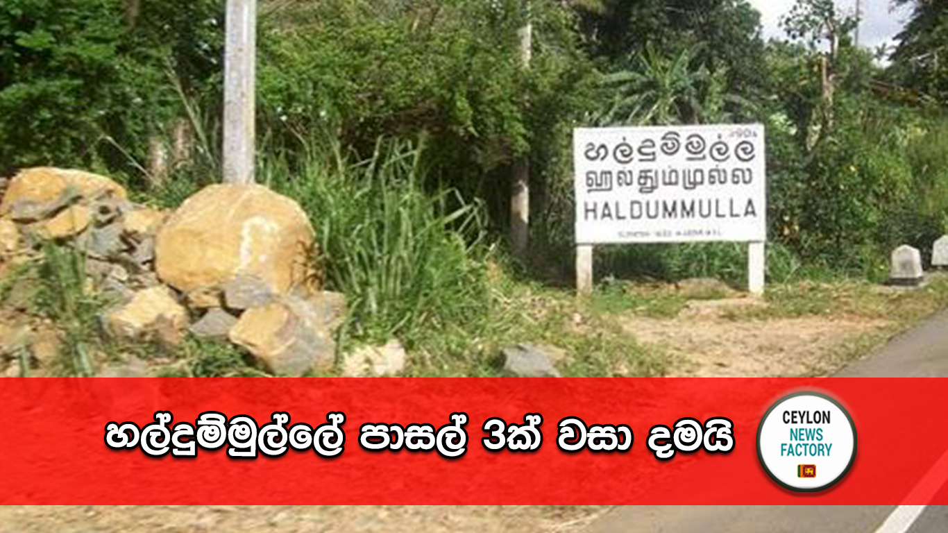 හල්දුම්මුල්ල