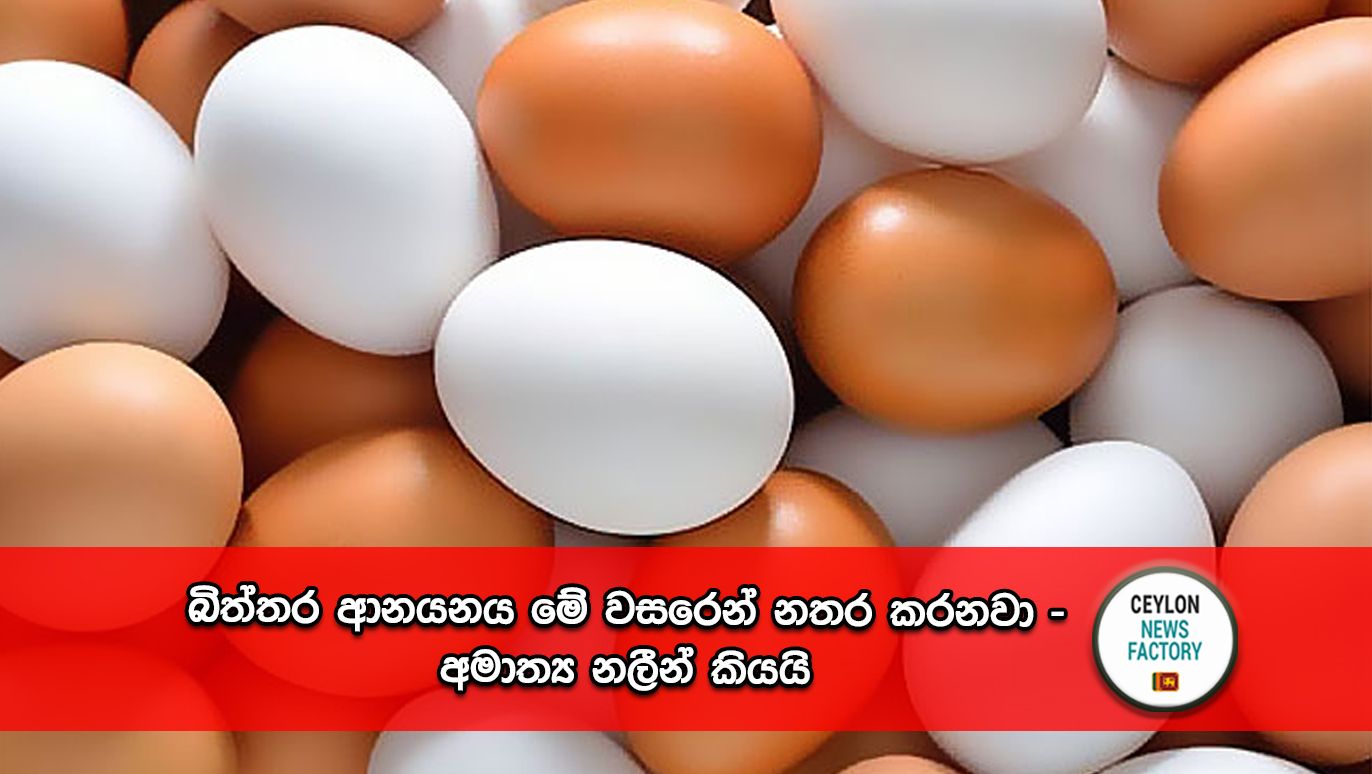 Import Eggs