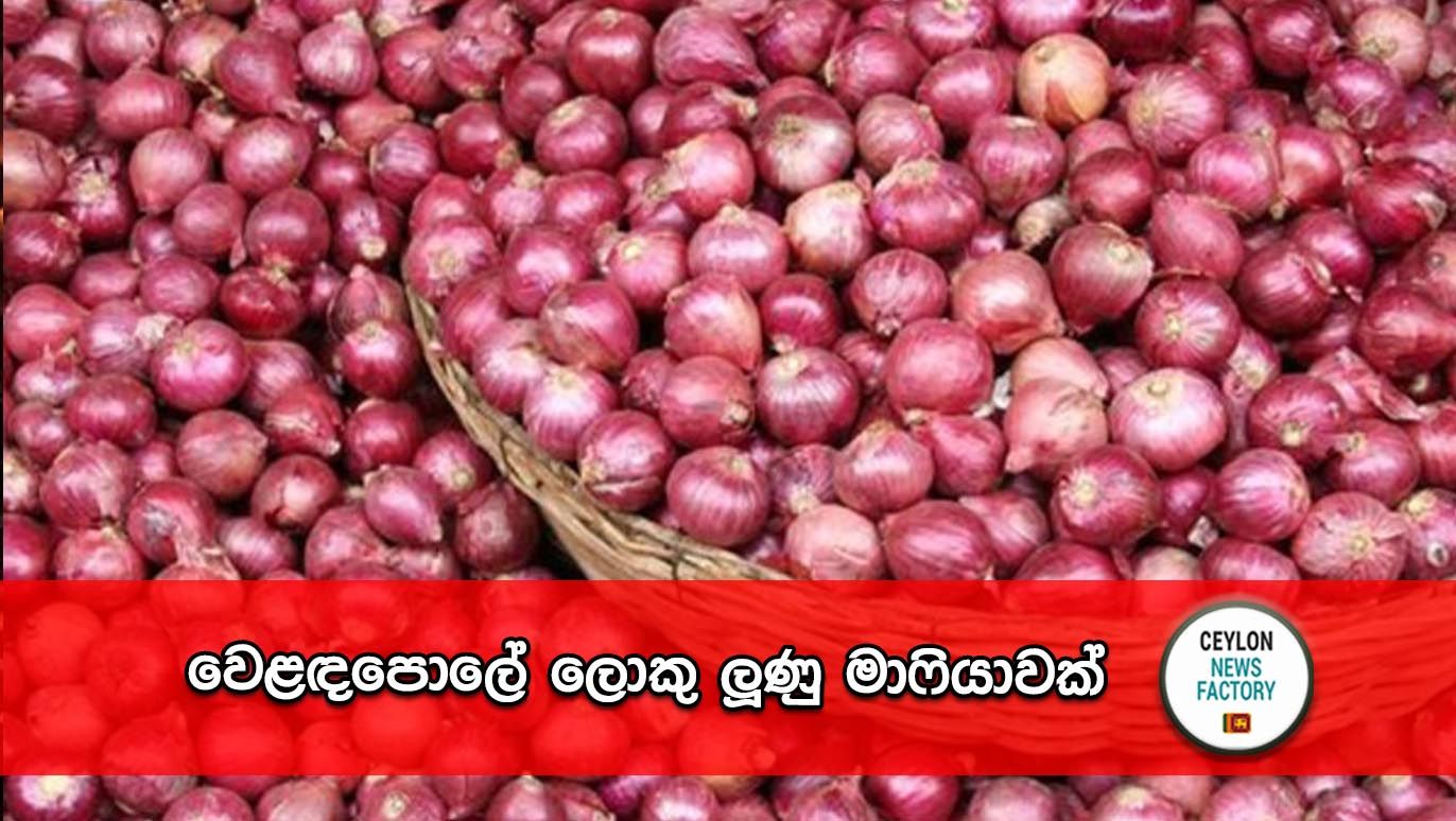 ලොකු ලූණු