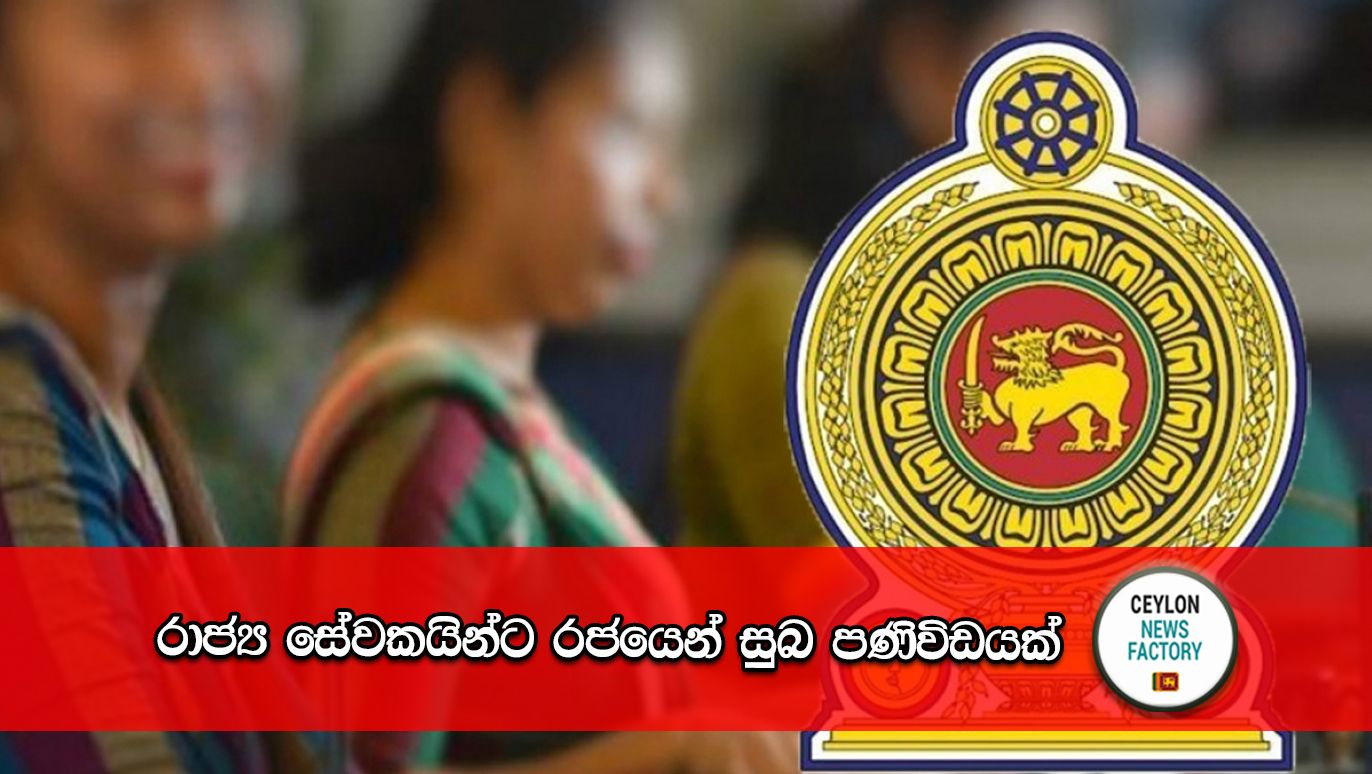 Goverment Service
