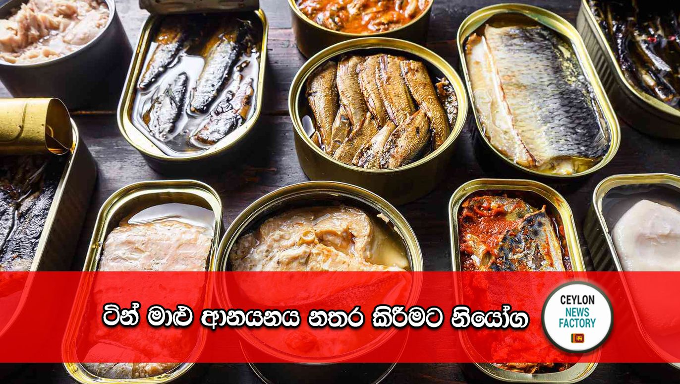 Tin FIsh