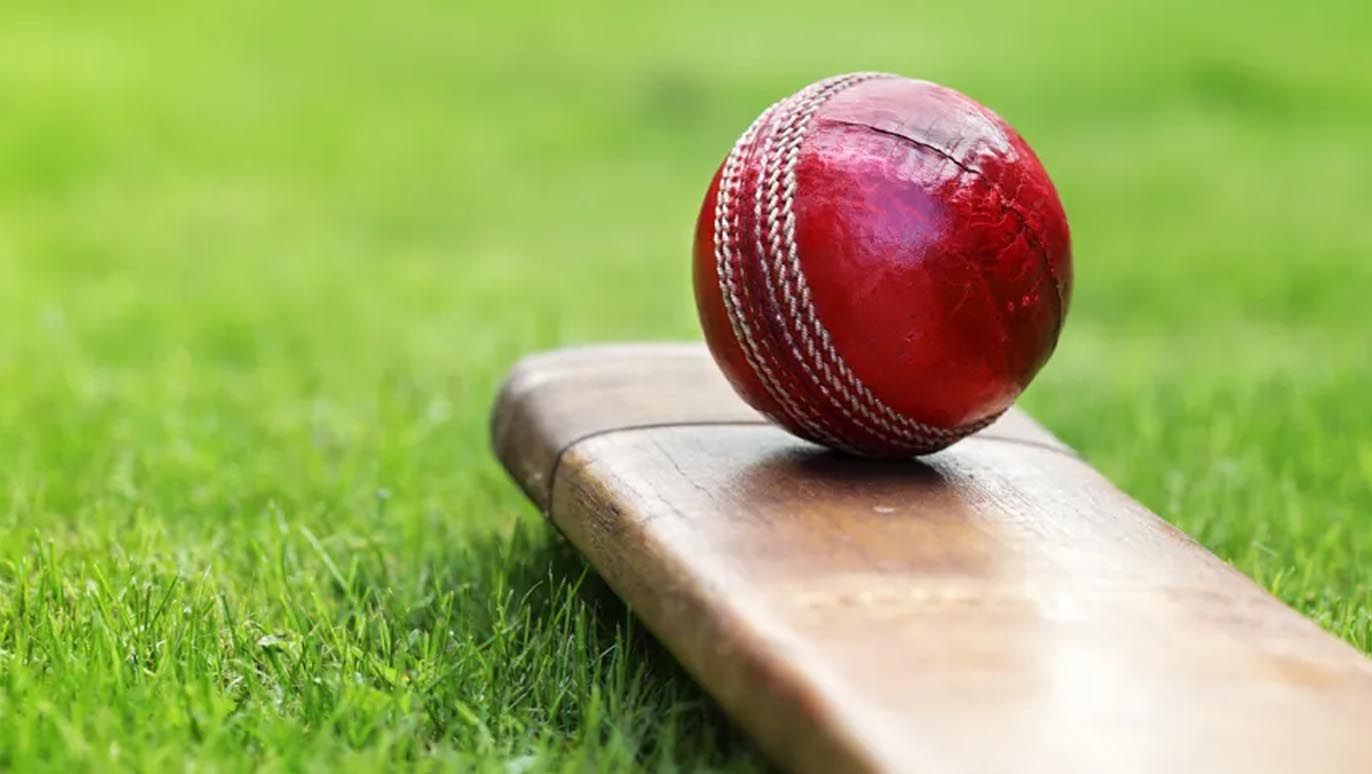 Parliment Cricket
