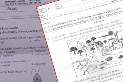 Third Term Papers