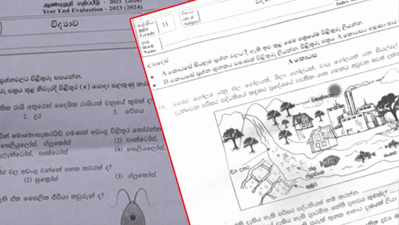 Third Term Papers