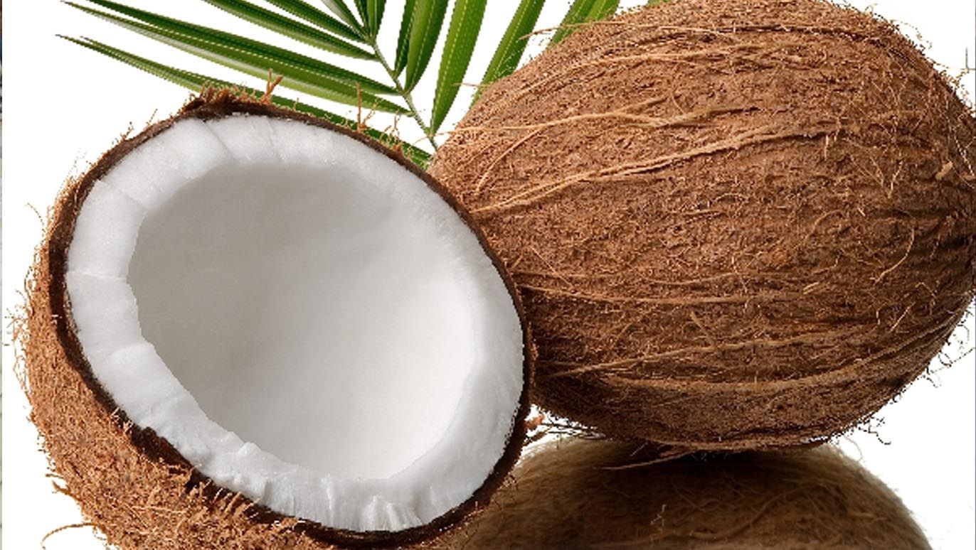 Coconut