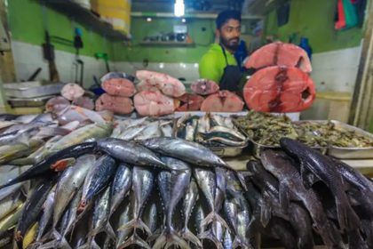 Fish-Price