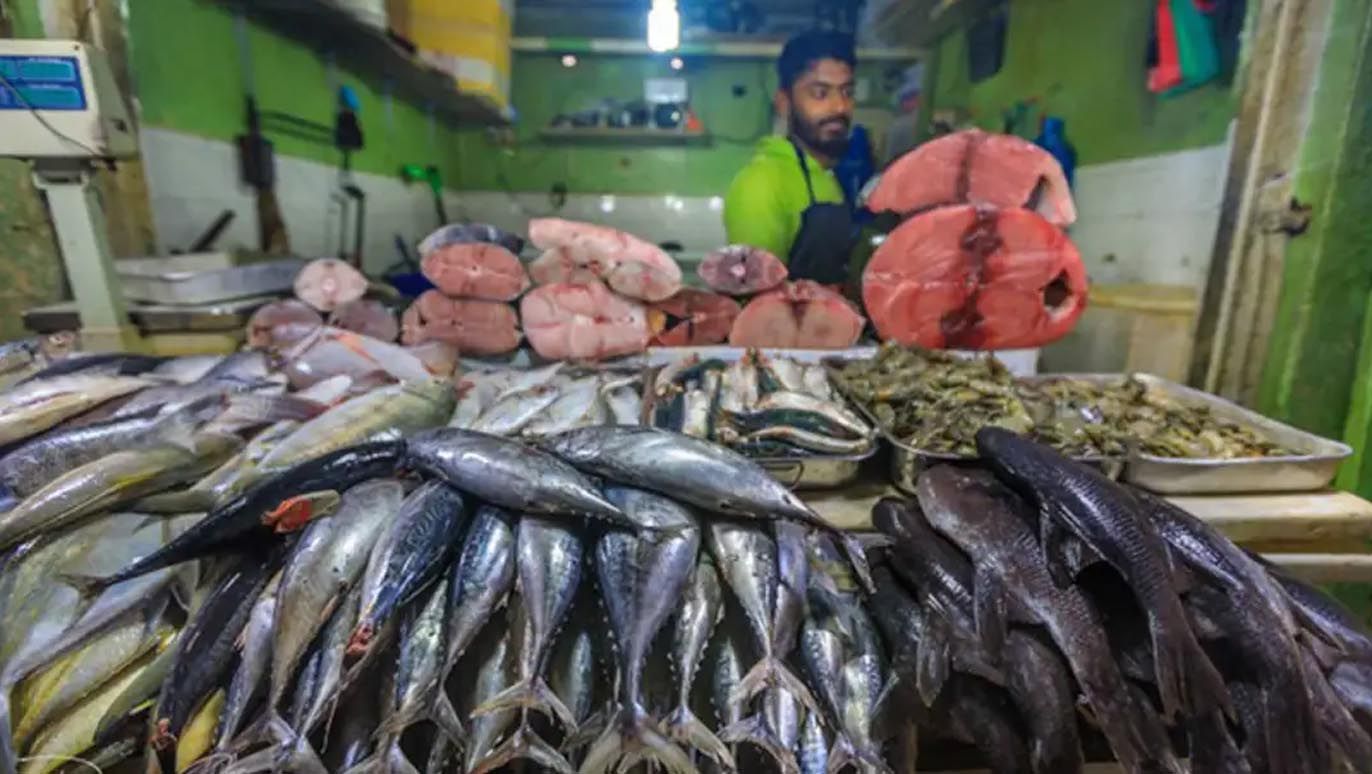 Fish-Price